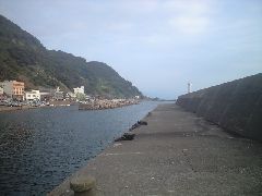 摜y[W