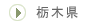 Ȗ،
