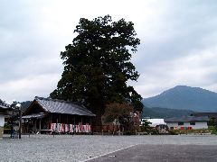 摜y[W