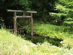 摜y[W