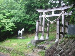 摜y[W