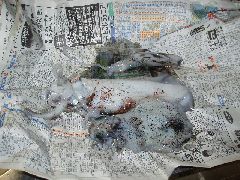 摜y[W